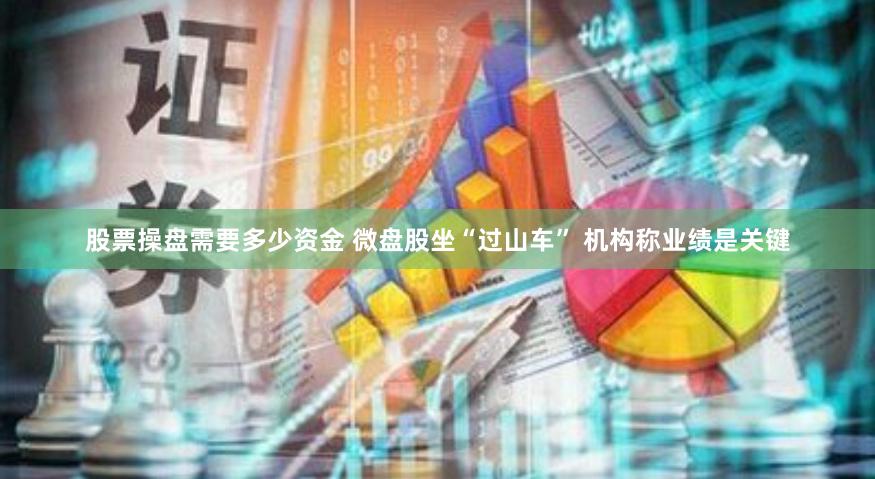 股票操盘需要多少资金 微盘股坐“过山车” 机构称业绩是关键